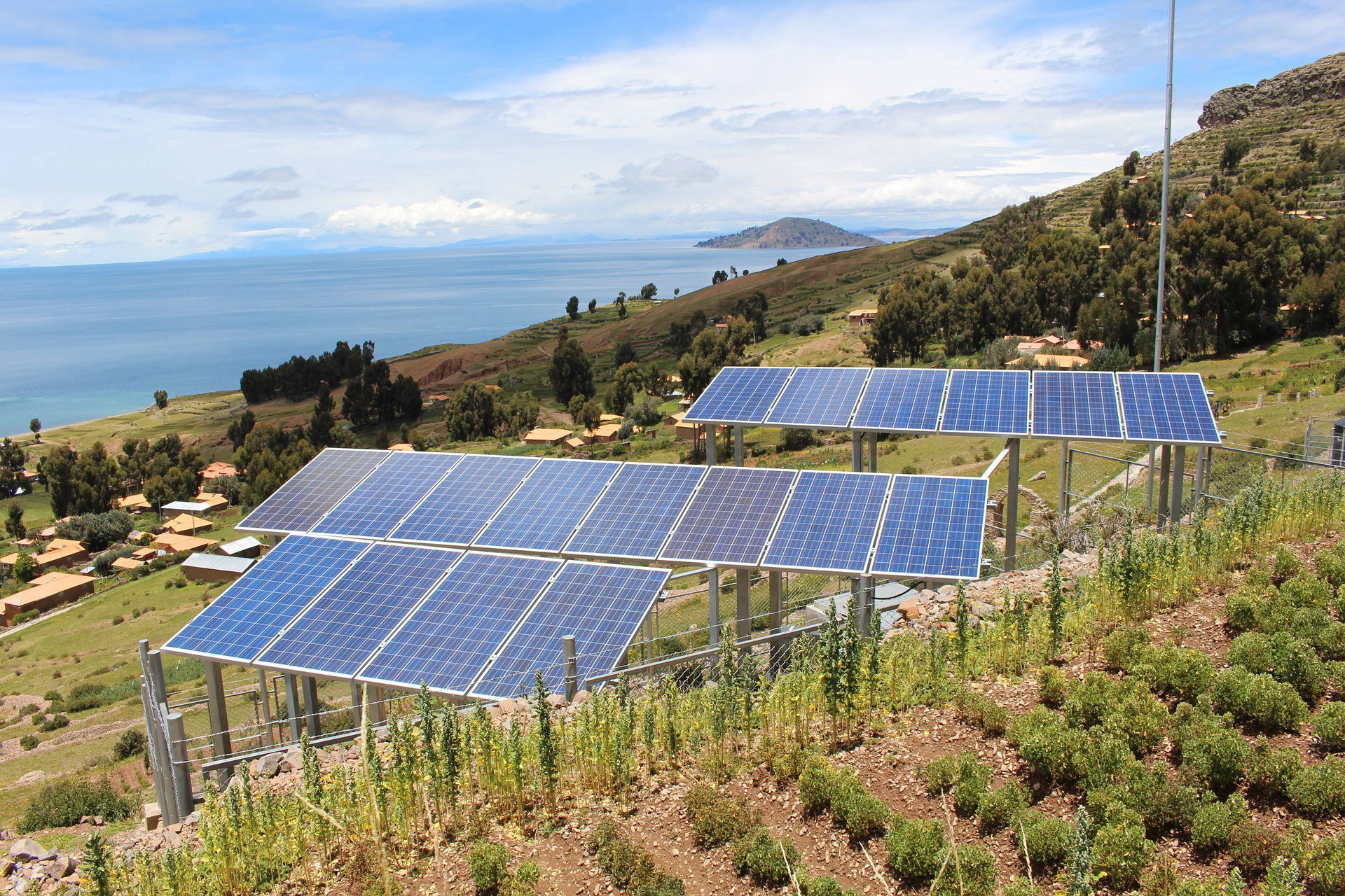 Comparing budget and premium solar panels for value